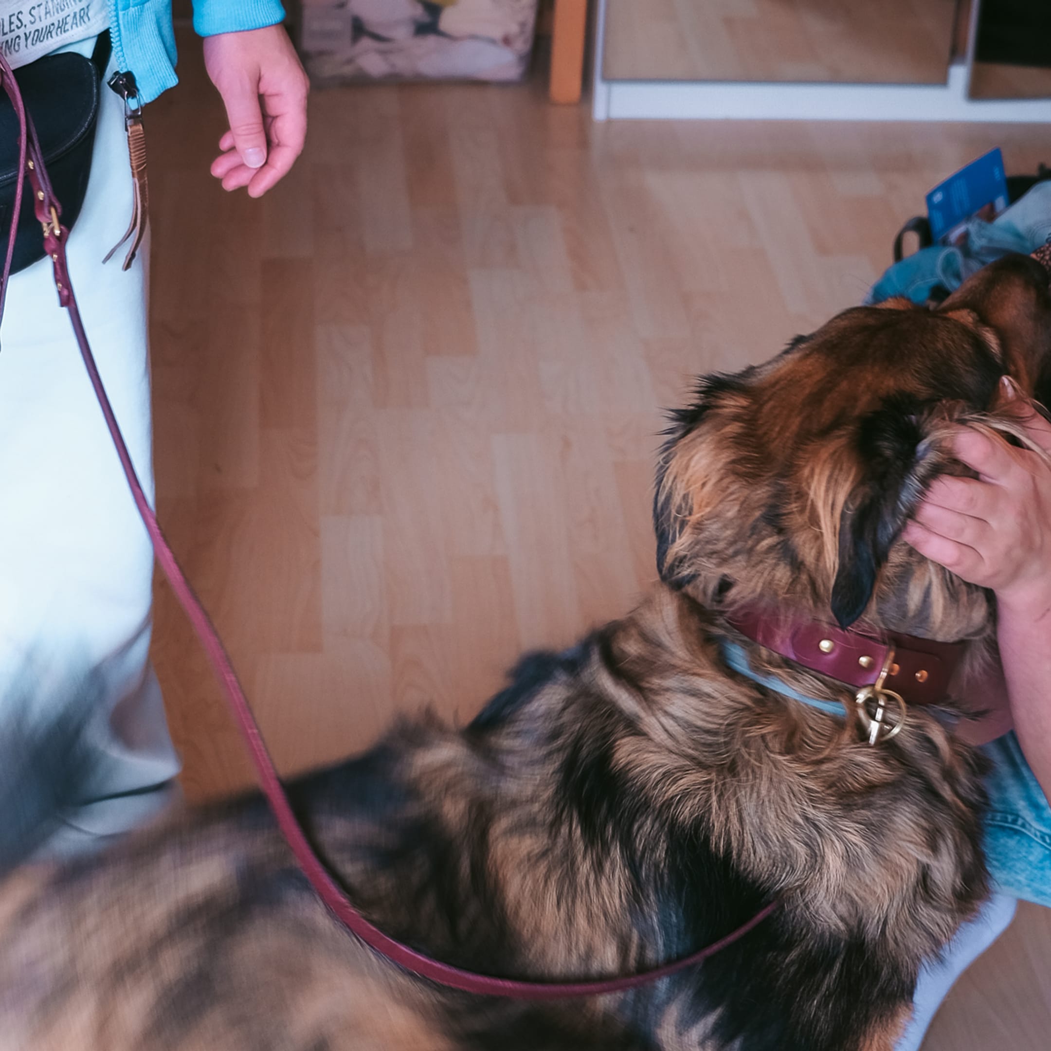 Workshop für Hundehalsband und Leine aus Leder in Berlin
