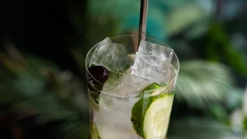 Ein Getränk mit Eiswürfeln und frischen Zutaten in einem Glas.