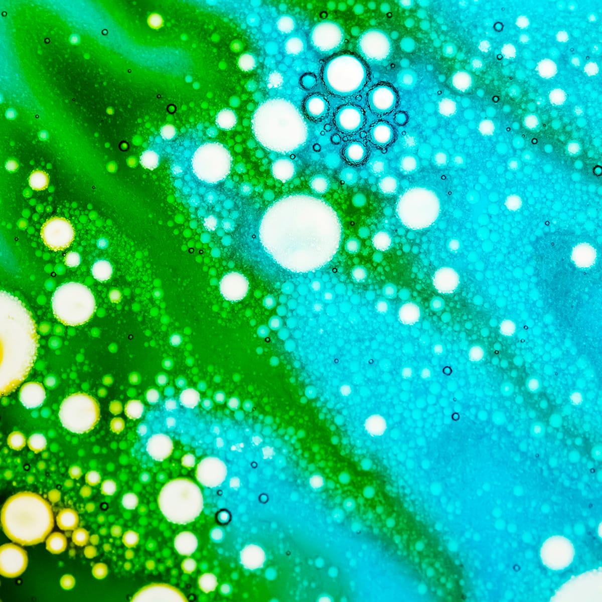 Fotokurs in Berlin: Kreativ & Abstrakt fotografieren