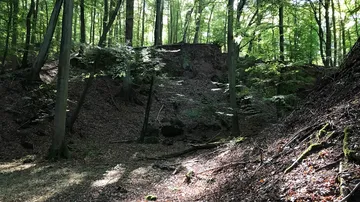 A hill in the forest, surrounded by trees and light.