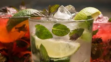 Glasses with cocktails filled with ice and mint.