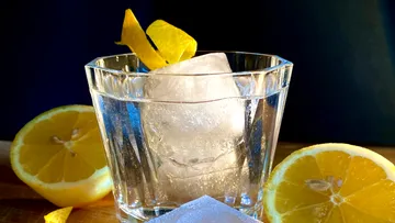 A glass with ice, lemon and orange peel.