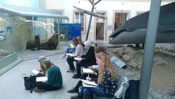 Students draw in front of animal exhibits in a natural history museum.