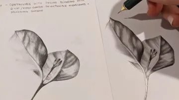 Blattzeichnung wird mit Stift und Bleistift verfeinert.