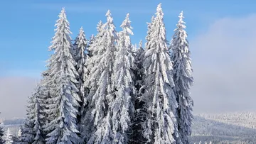 Schneeschuhtour