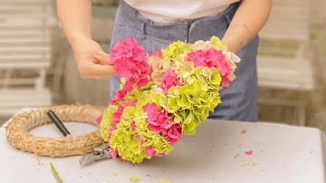 Flower wreath is formed with colorful hydrangeas in hands.