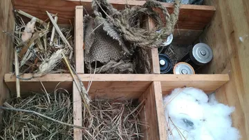 Wooden box with compartments filled with various materials and objects.