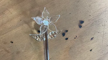 Clear flower stick lies on a wooden surface