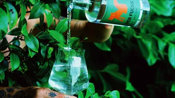Gin wird aus einer Flasche in ein Glas gegossen, umgeben von Pflanzen.