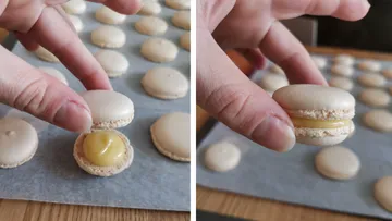 One hand holds a macaron with filling in the middle.