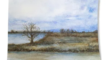 A tree stands by the water, surrounded by grassy land.