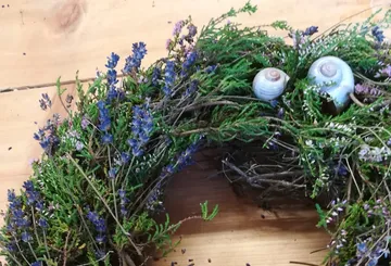 A wreath of colorful dried flowers and snails.