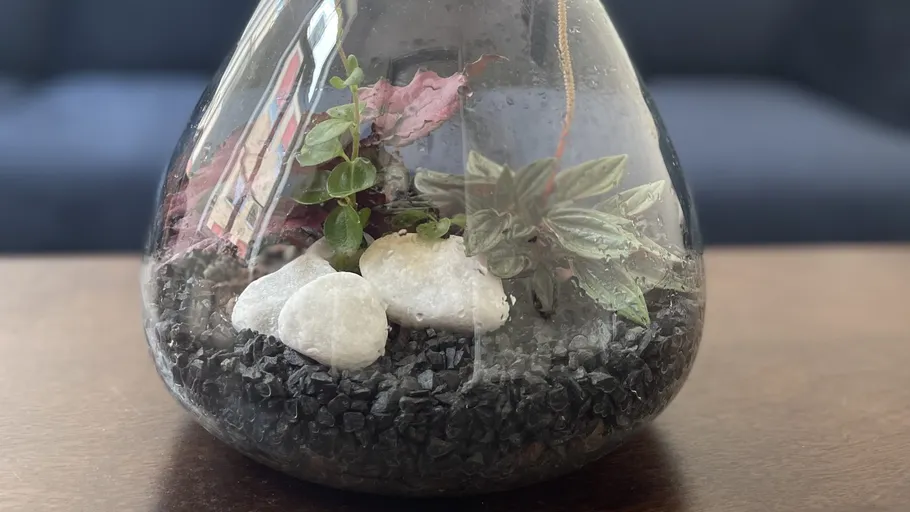 Glasbehälter mit Pflanzen und Steinen auf einem Tisch.
