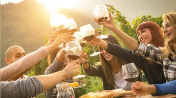 Friends toast with wine glasses in a picturesque landscape.