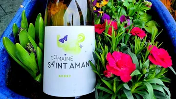 Flasche Wein steht zwischen bunten Blumen im Topf.