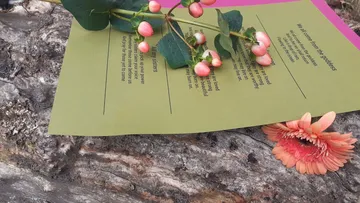 Grüne Blätter und Blüten liegen auf einem Baumstamm.