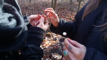 Hände halten kleine Objekte im Wald, umgeben von Laub.