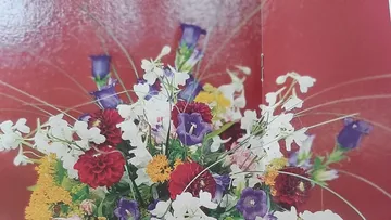 Colourful flowers are presented against a red background.