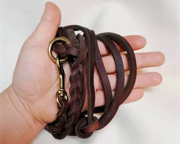 Eine Hand hält eine braune Hundeleine mit Haken.