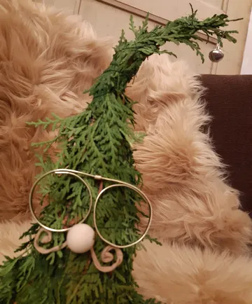 Grüner Weihnachtsbaum mit Brille, auf weichem Teppich.