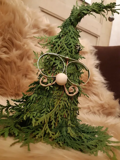 Eine grüne Pflanze trägt eine Brille und einen Holzball.