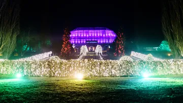 Illuminated garden with colorful lights at night.