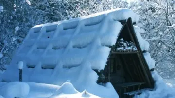 Schneebedecktes Dach, umgeben von verschneiten Bäumen.