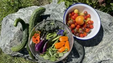 Vegetables and tomatoes lie on a stone in the open air.