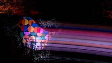 Colourful bird with rays of light in a dark environment.