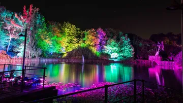 Colourfully illuminated trees are reflected in the calm water.