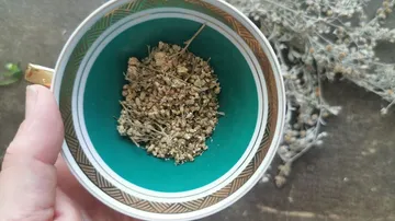 Tasse mit getrockneten Kräutern in der Hand. Dekorative Umgebung.