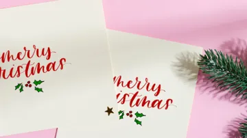 Two Christmas cards lie on a pink background with a pine branch.