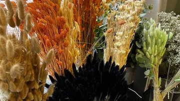 Dried flowers of various colors are in vases.