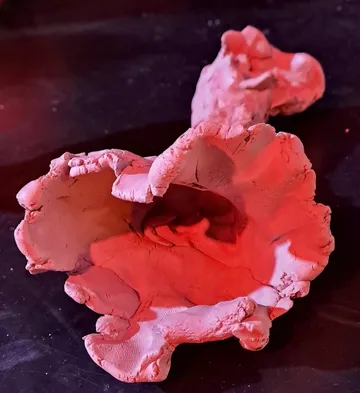 A sculptural form made of clay, illuminated in red light.