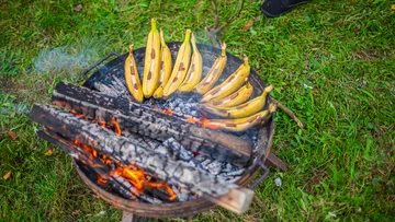 Bananen werden über einem Feuer im Freien geröstet.