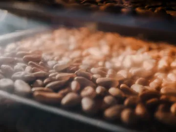 Kaffeebohnen liegen geröstet in einem Behälter.