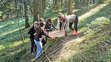 Sechs Personen arbeiten zusammen auf einem Baumstumpf im Wald.