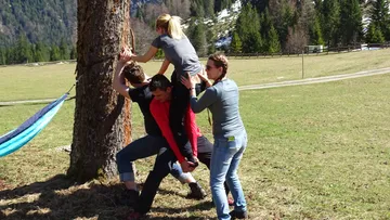 Vier Personen bilden eine menschliche Pyramide am Baum.