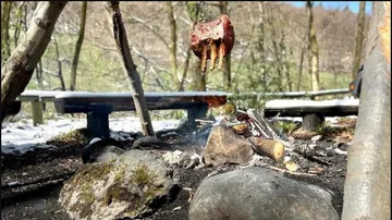 Ein Stück Fleisch schwebt über einem Lagerfeuer im Wald.