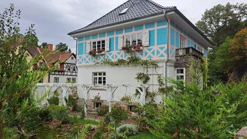 Freiburg house with colorful details surrounded by plants.