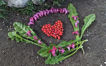 Heart made of vegetables and flowers arranged in soil.