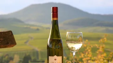 Weinflasche und Glas stehen vor einer idyllischen Weinlandschaft.