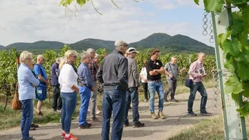 Gruppe von Menschen hört in Weinberg einer Präsentation zu.