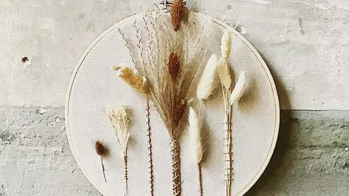 Dried flowers decorated in frames hanging on a wall.