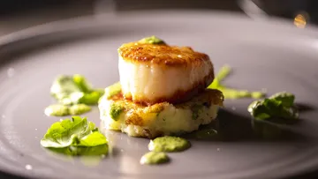 Jakobsmuschel auf Kartoffelbrei, umgeben von grüner Sauce.