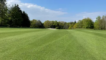 Green golf course with trees and blue sky in the background.