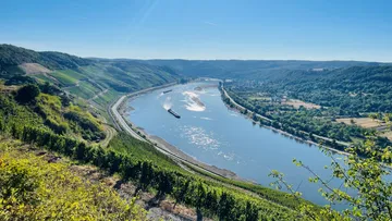 Vineyards along a river with a passing ship.