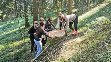 Group of people examining tree stump in the forest.