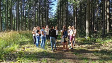 Eine Gruppe von Personen steht im Wald und redet.