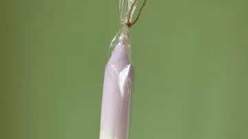 Purple candle hangs in transparent packaging against a green background.